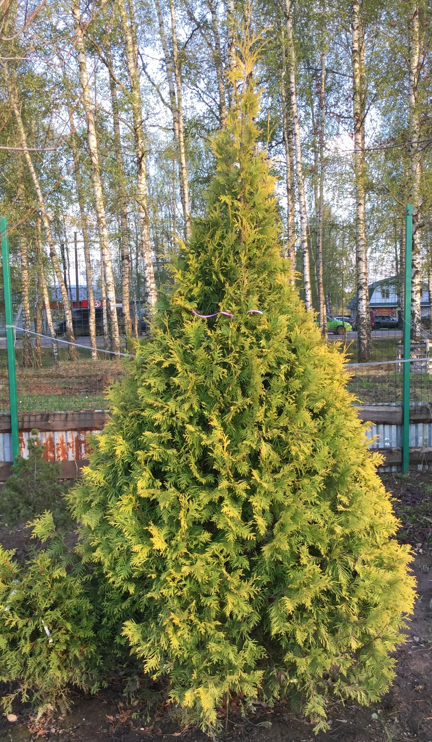 НоменклатураПрисоединенныеФайлы