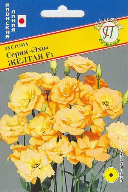 lf6yt6648la66ri6cfzs5wg133lc1zbz