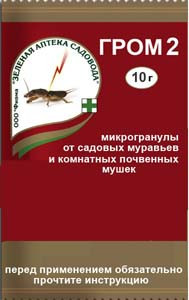 гром2