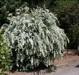 Снимок