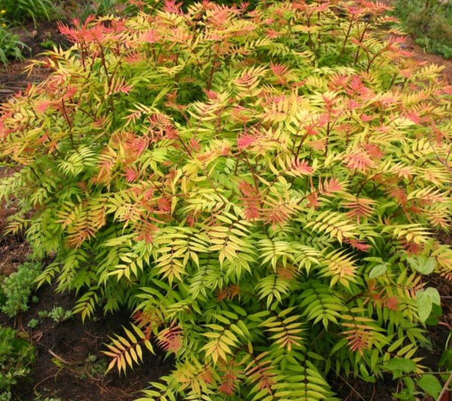 НоменклатураПрисоединенныеФайлы