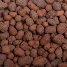 Без названия (7)