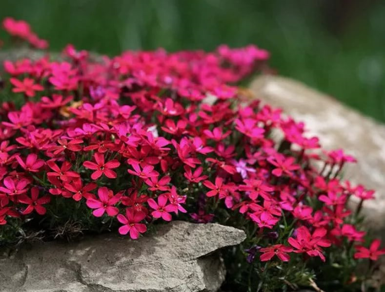 463887cee4df2165d37b1650ff16c344