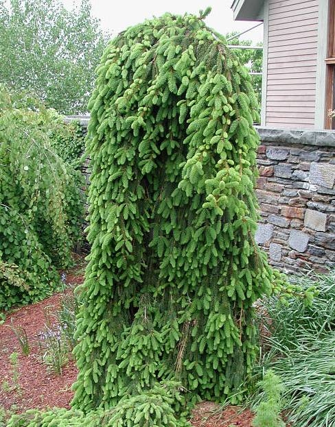 НоменклатураПрисоединенныеФайлы