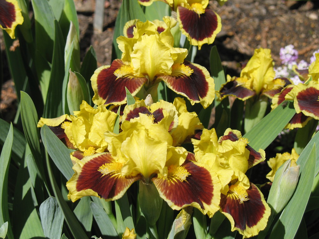 3484235188_c0f810d7fd_b