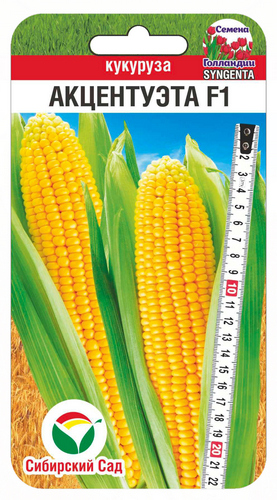 zxbgrzq4wrccnhu80ejmeemh3bocg2nn