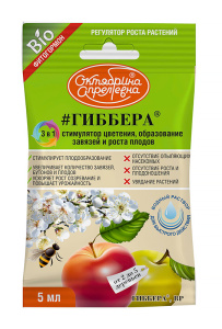 gebbera