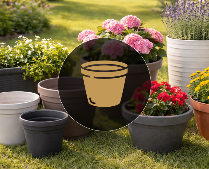 Кашпо / Вазоны