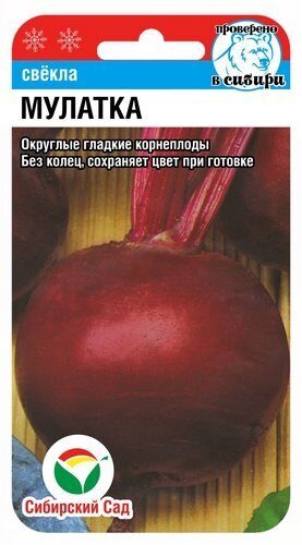 sntvg4avmbnin0qg8jtf0qklt4z363xm