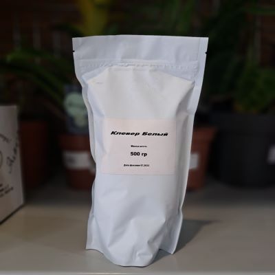 белый клевер