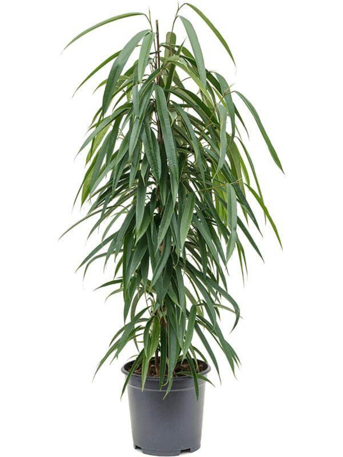 606007f4fc99acb33e2cb4c4d4a9f7f666666666666666666666666