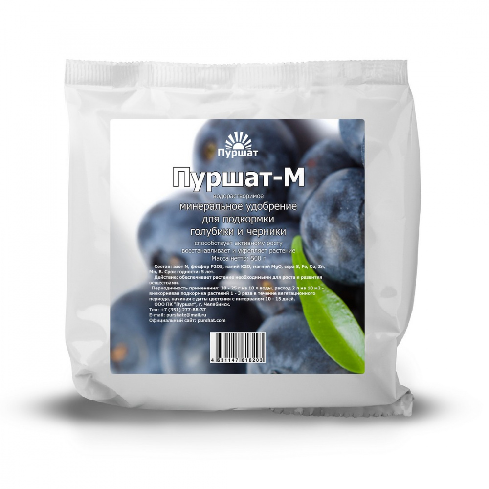 голубика_черника