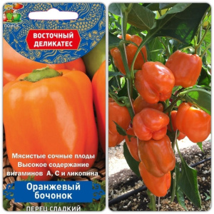 Перец сладкий Оранжевый бочонок (Восточный деликатес)