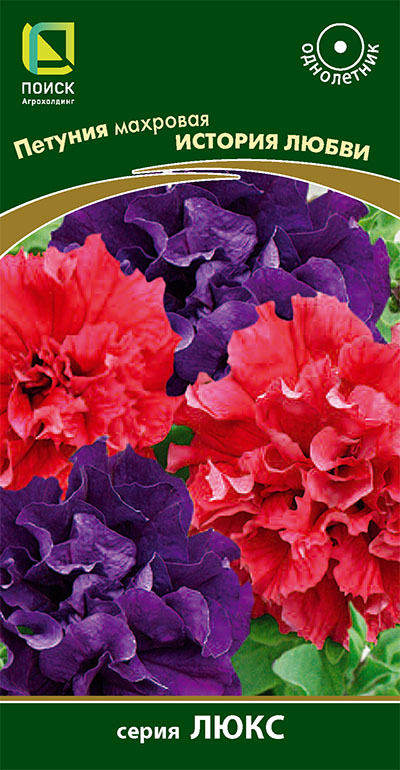 petunia_mahrov_istoria_lubvi