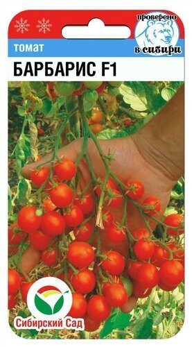 ojo035518tm9ov2w1fuiremdzbibpijy