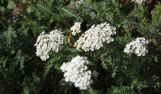 1487065af8454982b1fc8bd24190f25e