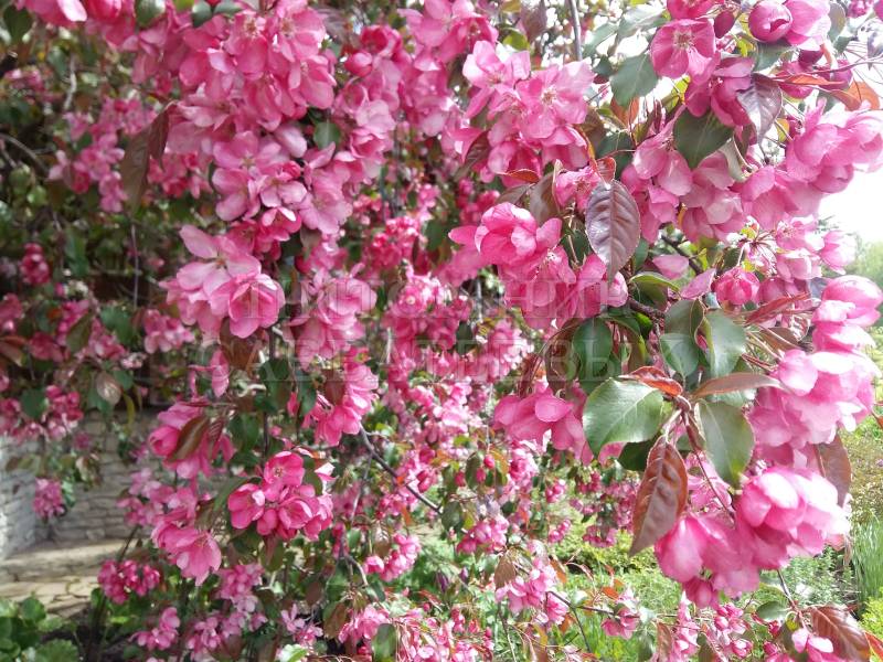 НоменклатураПрисоединенныеФайлы