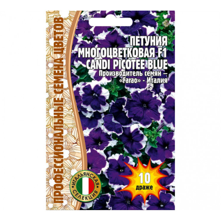 petunija_mnogocvetkovaja_f1_candi_picotee_blue(1)-750x750