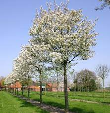 загруженное