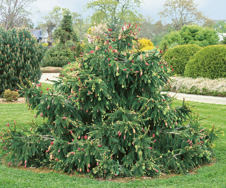 НоменклатураПрисоединенныеФайлы