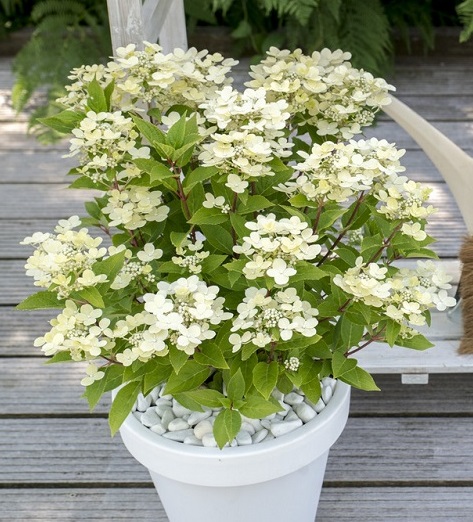 2ec3efc3_0839_11ea_915a_f8633f08d3c3_2ec3efc7_0839_11ea_915a_f8633f08d3c3.resize1