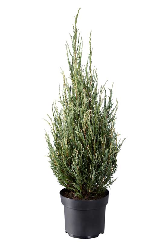 f6d09bd6ea66e8315f53a395ad625e30