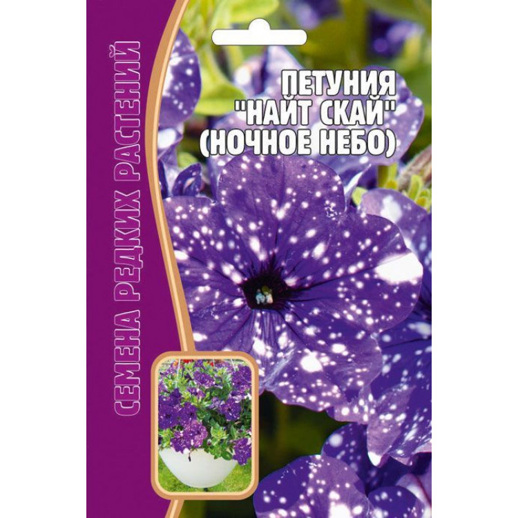 petunia-nochnoe-nebo-750x750