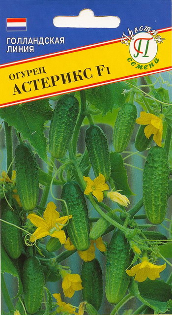 q7anx0vssfe677j98uulm1oecfzgsf2v