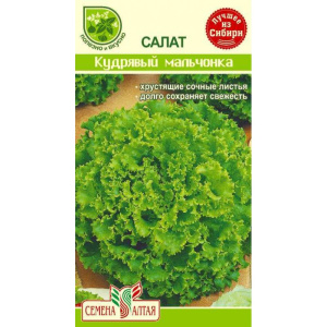Салат Кудрявый Мальчонка (Семена Алтая)